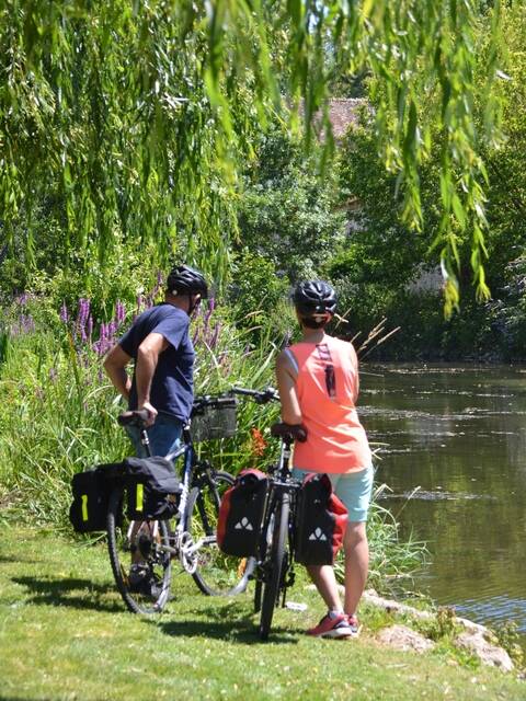 Location de vélos