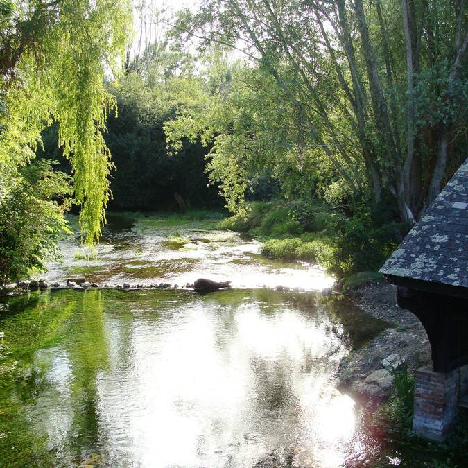 La Conie, rivière sauvage