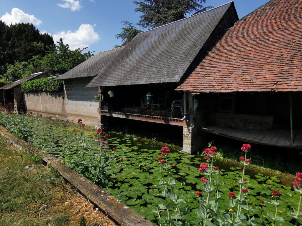 Balade de l'Ozanne lavoir - Brou