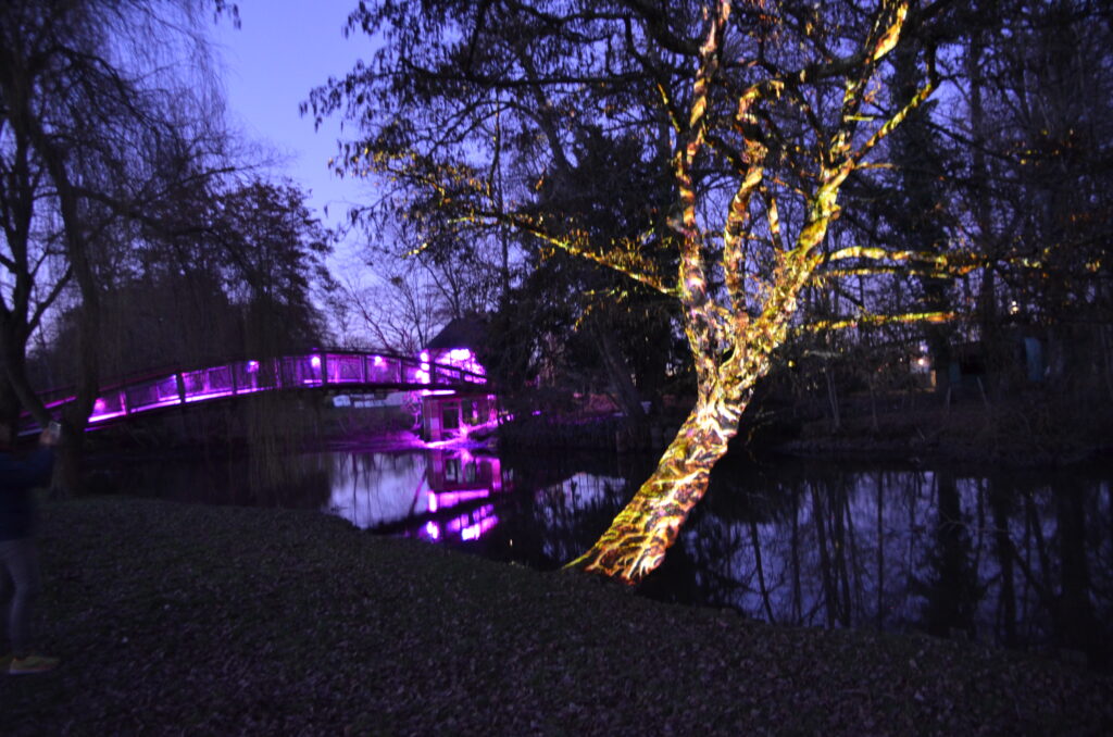 Jardin des Lumières - Cloyes les Trois Rivières