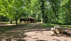 Bois des Gats (5)