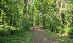 Bois des Gats (6)
