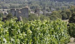 Coteaux du Vendomois_ete 2006_Eric Mangeat 01-2