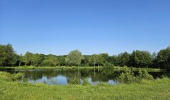 Etangs de la Basse Plaine (6)