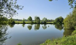 Etangs de la Basse Plaine (9)
