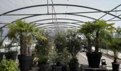 Jardins de Lutz - Crespin (2)