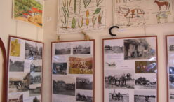 Musée-école