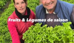 distributeur produits locaux 3