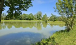 etang de la gare (1)