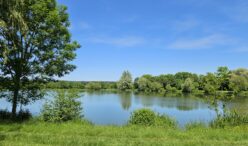 etang michel hamet (2)