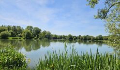 etang michel hamet (5)