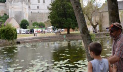 peche animation